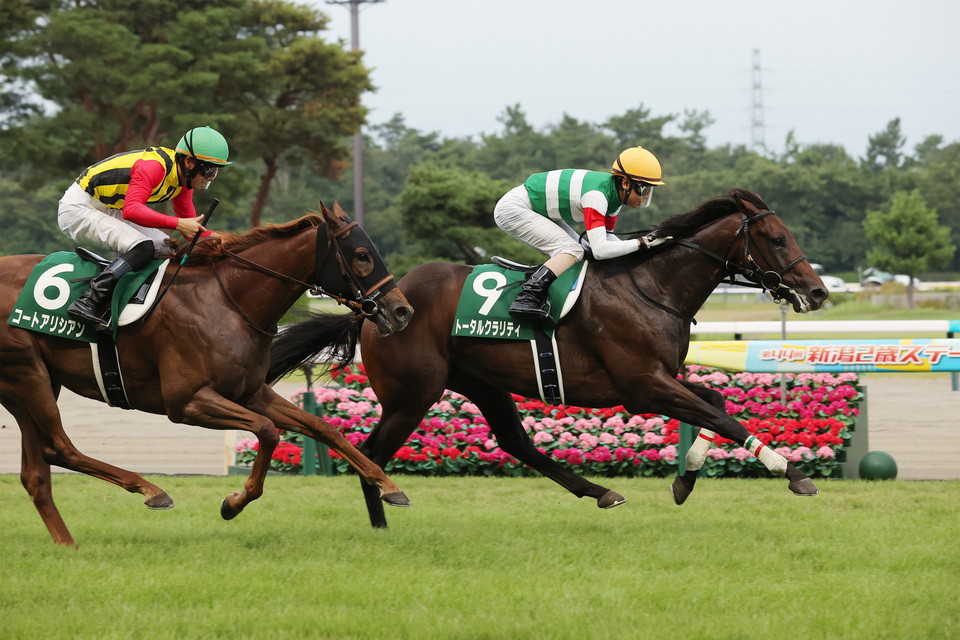 『中央競馬全レース中継/パドック中継』