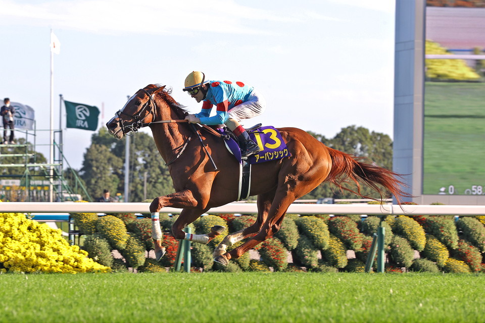 『中央競馬全レース中継』/パドック中継』