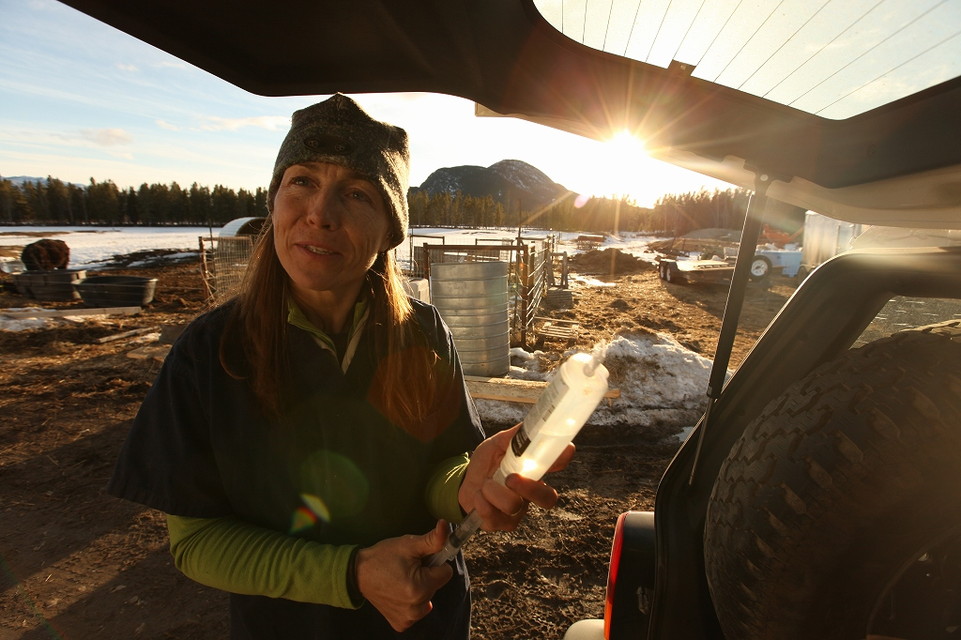 獣医ミシェルの日常 1.5 【日本語吹替版】