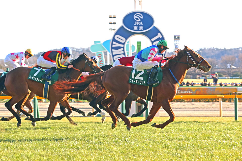 『中央競馬全レース中継／パドック中継』