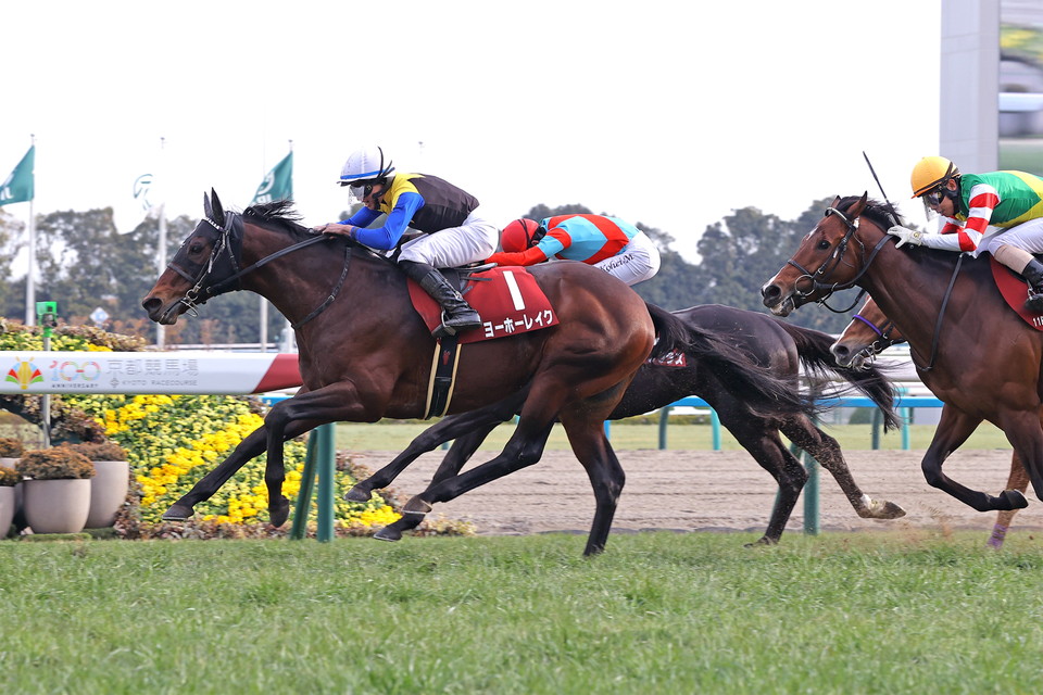 『中央競馬全レース中継／パドック中継』　