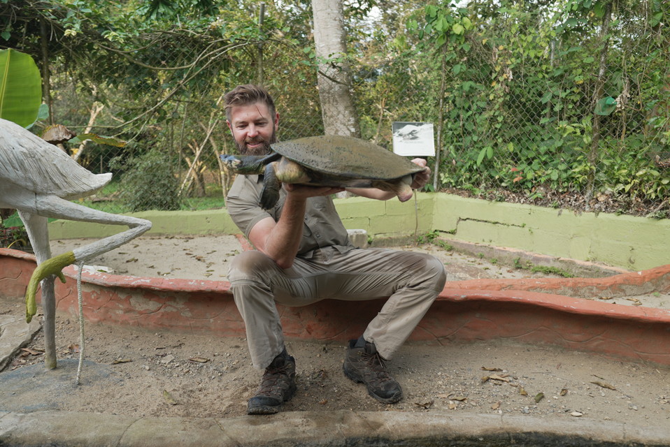 野生の中毒～薬物に侵された動物たち～