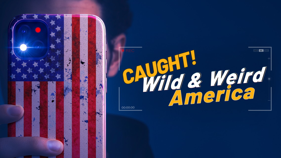 激撮！全米衝撃動画ファイル