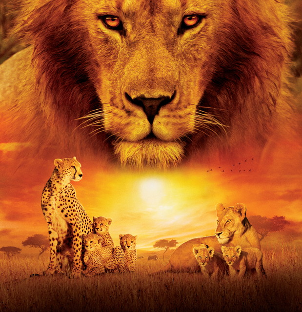 プレミア映画「ディズニーネイチャー／サバンナを生きる百獣の王」