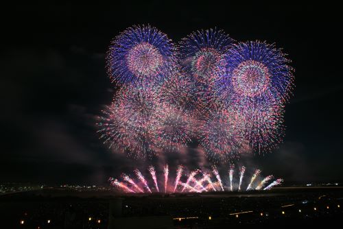 テレビで花火大会2024