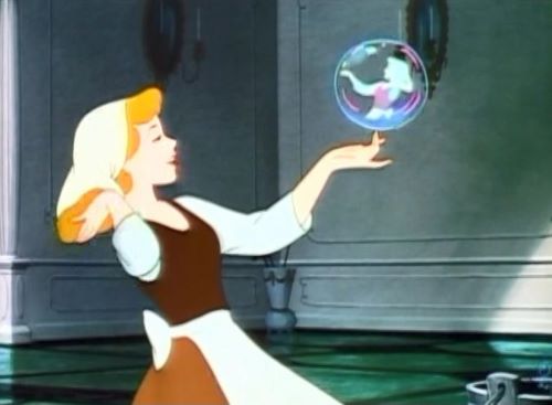 スターキャット12　3月の映画