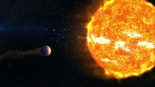 専門チャンネルおためしアワー！(2026年03月)_08