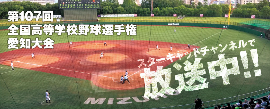 第107回全国高等学校野球選手権愛知大会