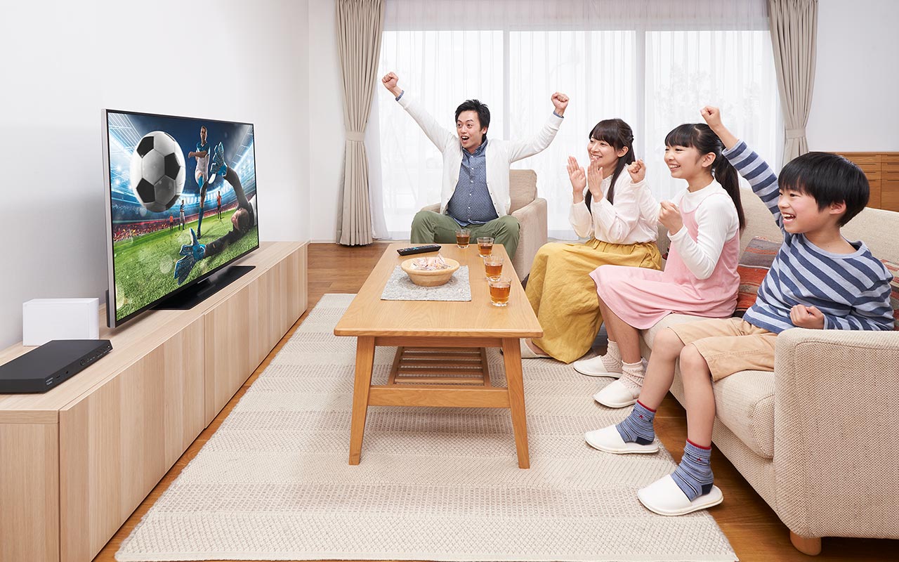 動画配信サービスをテレビ画面で楽しめる！