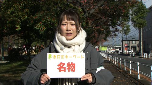 ぶらっと〇〇(2026年01月)